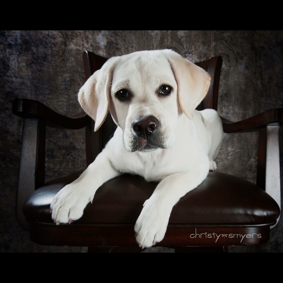 Meet your Posher, Christy - Picture 2 of 2